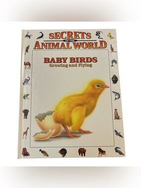 Secrets of the Animal World: Baby Birds - Yellow Chick Hardcover